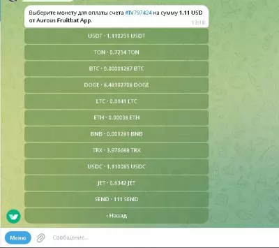 Телеграм-бот Crypto Pay для платежей для DLE. Платежный шлюз для системы оплаты Webcash